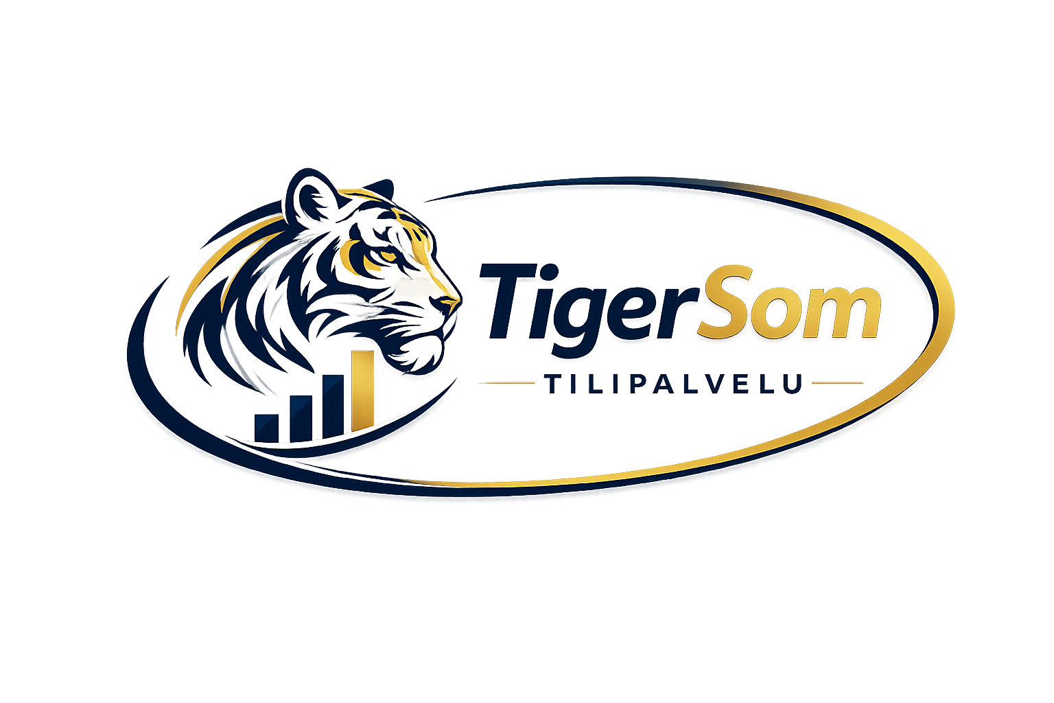 TigerSom Tilipalvelu